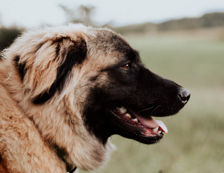 image_1706025272.png