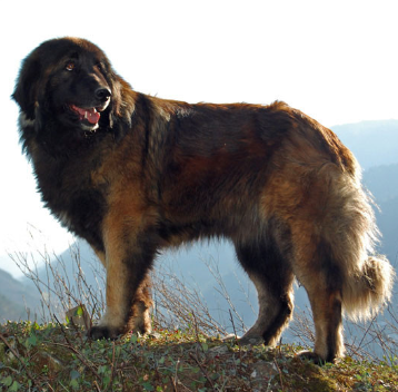 image_1706025971.png
