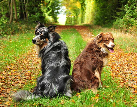 image_1706036951.png