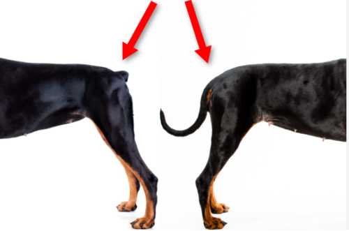image_1706037118.png