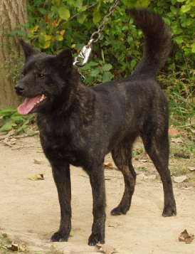 image_1706197807.png