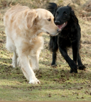 image_1706717697.png