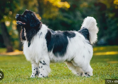 image_1706722303.png
