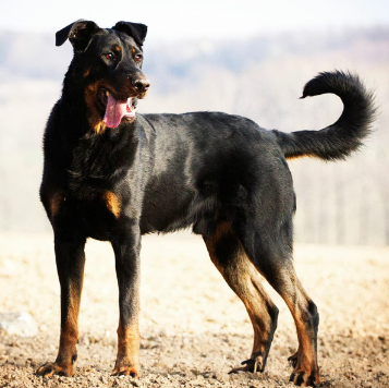image_1706886362.png