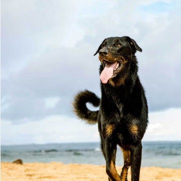 image_1706889664.png