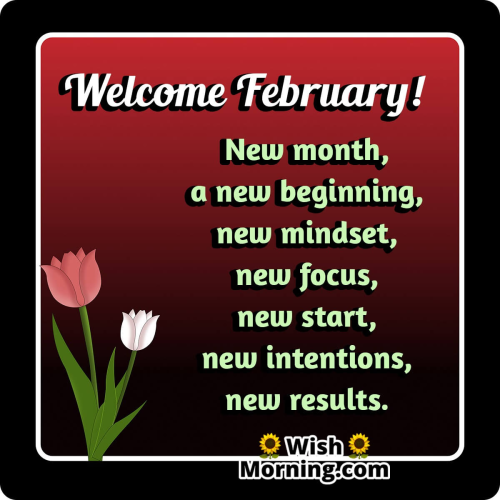 image_1706977841.png