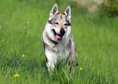 image_1707235769.png
