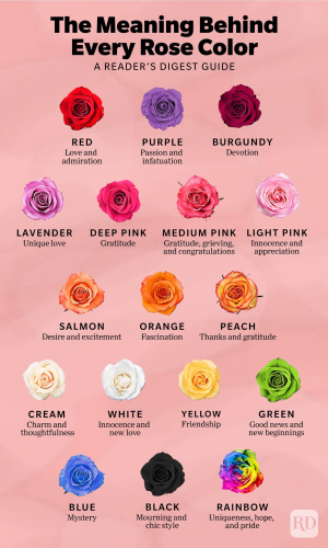image_1707365027.png