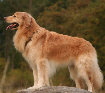 image_1708136041.png