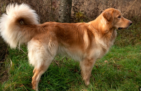 image_1708136345.png