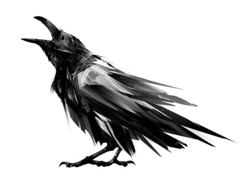 image_1708301442.png