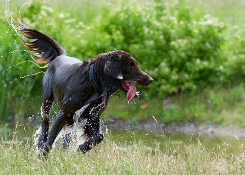 image_1708366411.png