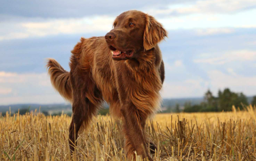 image_1708370022.png