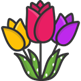 image_1708431736.png