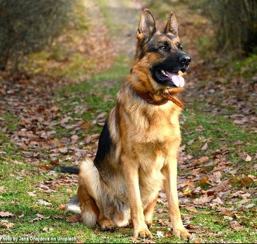image_1708559235.png