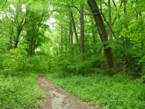 image_1708903534.png