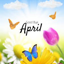 image_1714240423.png