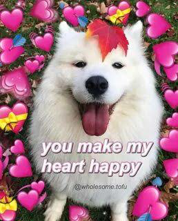 image_1714318079.png
