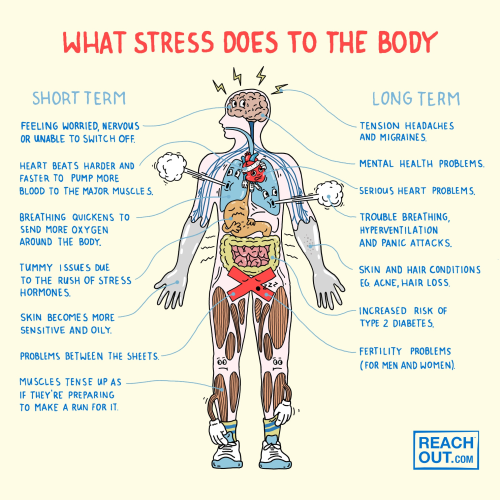 image_1714923700.png