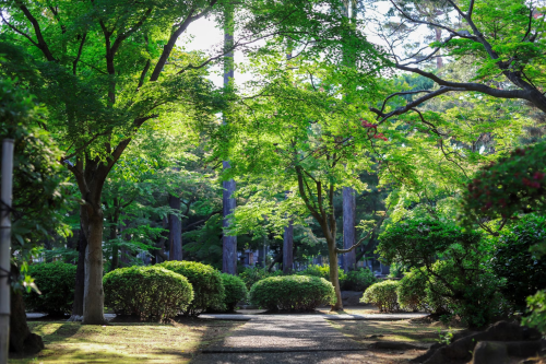 image_1717180763.png