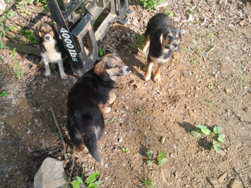 image_1717581705.png