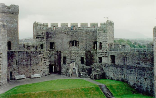 image_1722019355.png