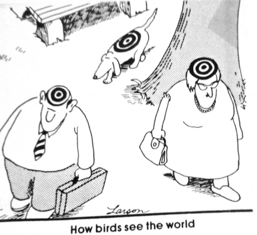 image_1722121952.png