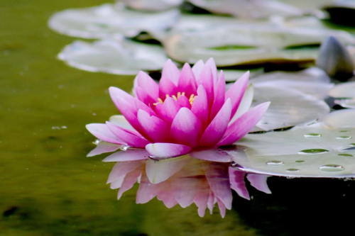 image_1722813507.png