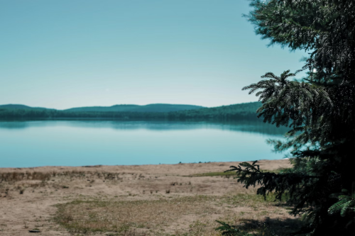 image_1723221177.png