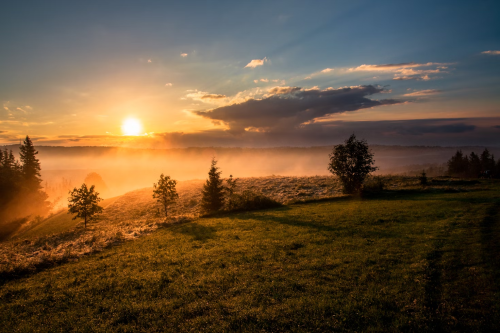 image_1724689049.png