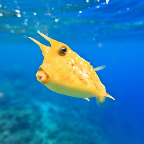 image_1725048619.png