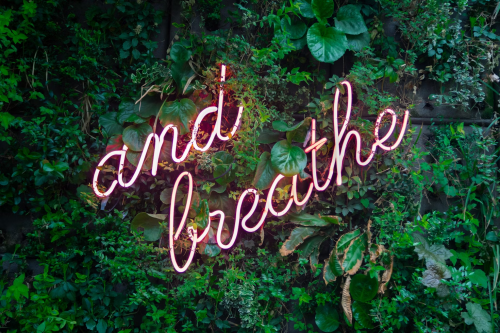 image_1726509428.png