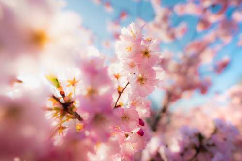 image_1740959095.png