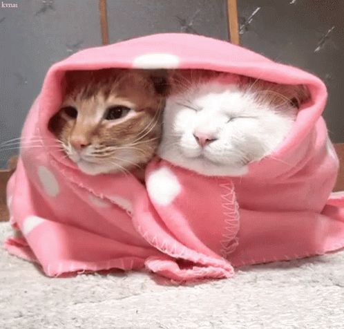 image_1741294338.png