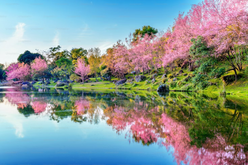 image_1743378846.png