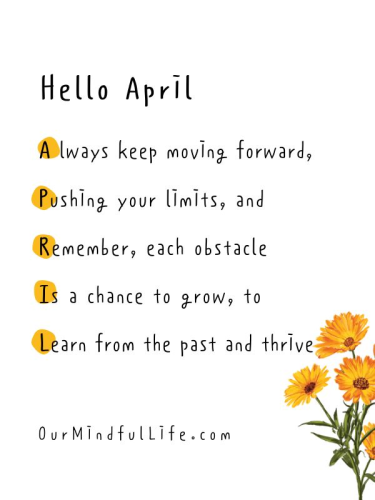image_1743819642.png