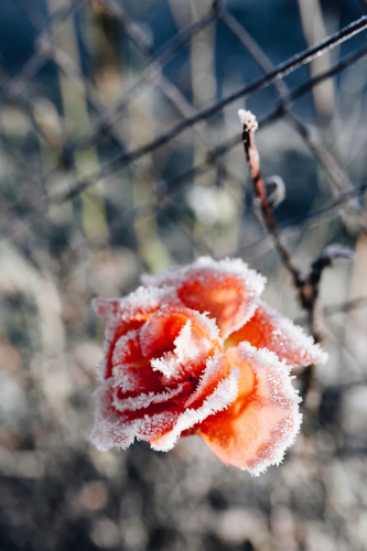 image_1744789328.png