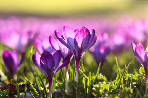 image_1744935982.png