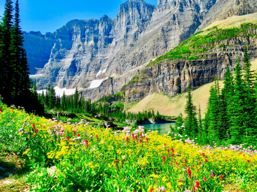 image_1745364615.png