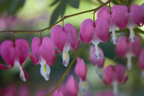 image_1746315665.png
