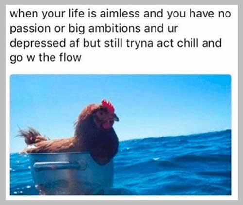 image_1747166046.jpeg