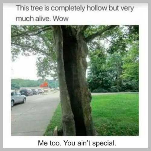 image_1747166125.jpeg