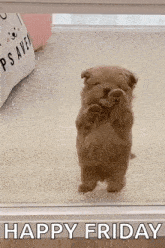 image_1750453501.png