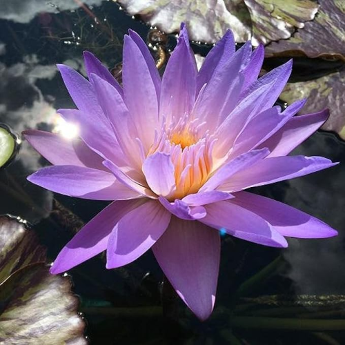 image_1752879158.png