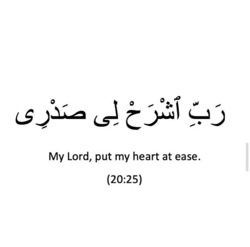 image_1753286795.png