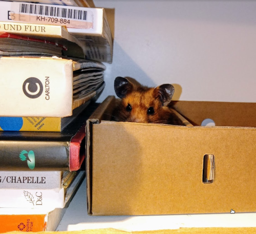 image_1754158040.png