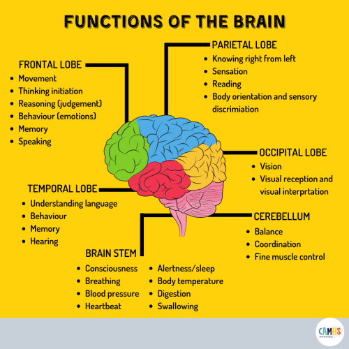 image_1755883378.png