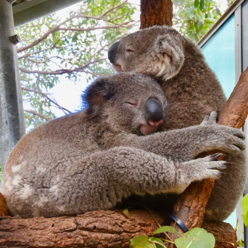 image_1755892132.png