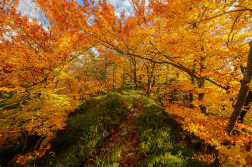 image_1756684544.png