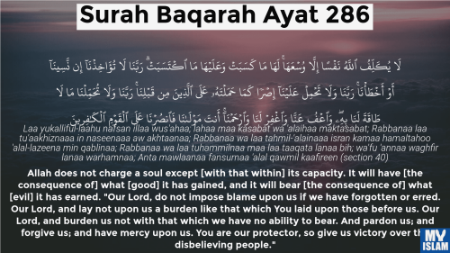 image_1758382289.png